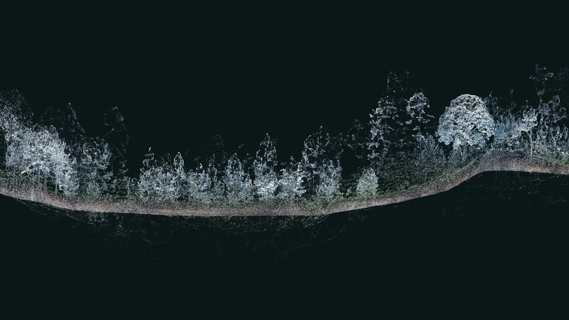 LiDAR point cloud of a tree-lined path, captured by SLAM mobile mapping